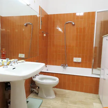 Cedre Villa Grimaud