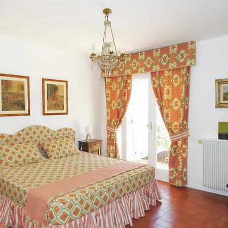 Cedre Grimaud