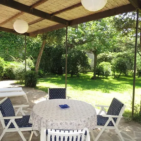 Cedre Vila *